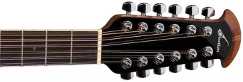 Standard Elite 12 String Deep Acoustic/Electric - New English Burst